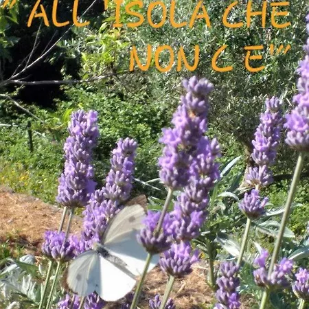 Farm stay Agriturismo All'isola Che Non C'e' *
