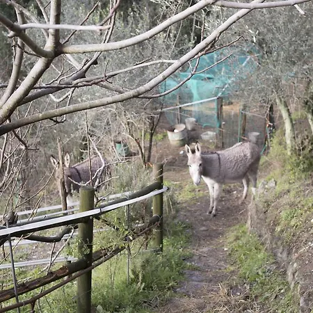 Agriturismo All'isola Che Non C'e' * La Spezia