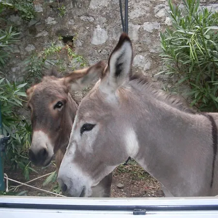 Agriturismo All'isola Che Non C'e' Farm stay *